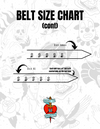 Barbed Wire Belt